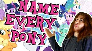 So You Like MLP? Name Every Pony.