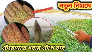 টেংরা মাছ ধরার ১০০% কার্যকারী টোপ বানানোর গোপন ও সঠিক নিয়ম | Tengra Fish Bait | togor fishing