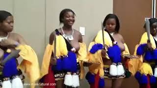 Swaziland Reed dance 15 december reed dance virgin dance Zulu tribe culture