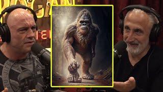 Bigfoot WAS Real! | Joe Rogan & Gad Saad