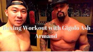 Boxing with Gigolo Star Ash Armand