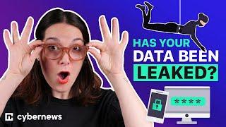 Data Leaks and Their Effects: How to check if your data has been leaked?