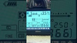 blur settings for camera/Nikon D90 full blur photo #viral #viralshorts #trending #photography