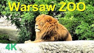 Warsaw ZOO | 4K