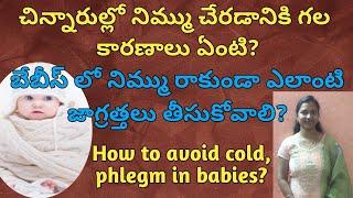 How to avoid cold, phlegm in babies? babies lo nimmu rakunda emcheyyali?