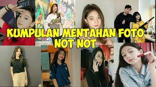 KUMPULAN FOTO FOTO NOT NOT ||  FOTO FOTO NOT NOT IMUT || KUMPULAN FOTO BUAT QOUTES