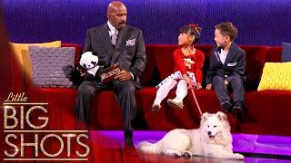 Animal Whisperer Jiaying Meets Steve Harvey! | Little Big Shots