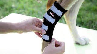 Neoally Dog Rear Leg Brace Long Version (Pair)