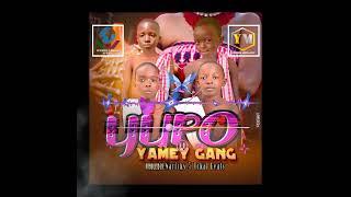 Yamey Gang - Yupo ( Official Audio Music)