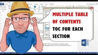 Multiple Table of Contents in Word/ TOC for Each Section
