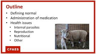 Sheep Health Management