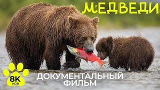 Что надо знать о медведях - Документальный фильм о дикой природе в 8К HDR