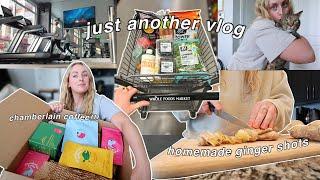 whole foods haul, chamberlain coffee, + hang with me VLOG!!!