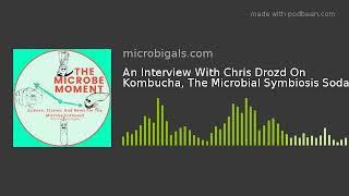 An Interview With Chris Drozd On Kombucha, The Microbial Symbiosis Soda