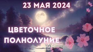  ЦВЕТОЧНОЕ ПОЛНОЛУНИЕ 23 мая 2024 года Таро прогноз для всех знаков зодиака 