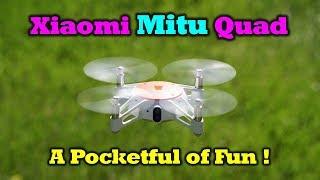 Xiaomi Mitu Quad - Things You'll Want to Know