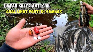 Casting Gabus Haruan Umpan Mini Soft frog 2,5cm Dan 3cm‼️Umpan Killer Casting Gabus