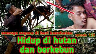 LUCU⁉️ bang komri membuat video sendiri membangun menara ayam | warta petani muda hidup di hutan