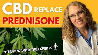 The Potential of CBD to Replace Prednisone: An Interview with the Experts