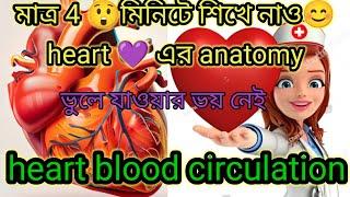 heart anatomy . heart blood circulation . heart blood supply in Bengali.