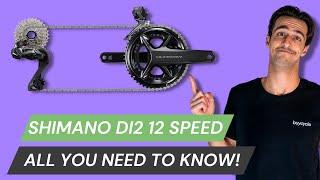 Shimano DI2 12 Speed & All You NEED To Know | Battery Check, Shifting Modes, Indexing & E-Tube App!