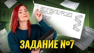 Разбор задания №7 ЕГЭ по биологии | Умскул