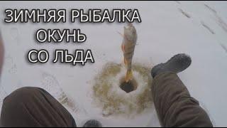 Зимняя рыбалка, первый выход за окунем на лед