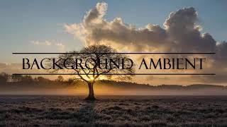 Inspirational and Uplifting Background Music for Videos