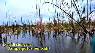 Mancing ikan di sini masih banyak yg babon" / Mancing nila demak