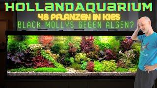 Wir sind sprachlos! Unfassbares Hollandaquarium mit 48 verschiedenen Aquarienpflanzen in Kiesboden!