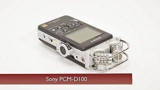 Sony PCM-D100