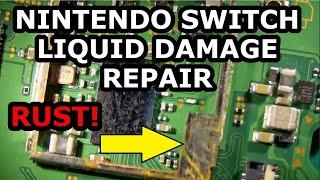 Nintendo Switch Liquid Damage Repair With IPA