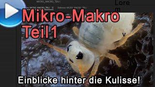 Mikro-Makro, Teil 1: Extreme Einblicke hinter die Kulissen!