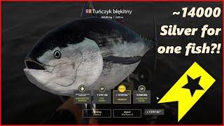 ~14000 Silver for one fish?! trophy Atlantic bluefin tuna Norwegian Sea Russian Fishing 4  #mjplay