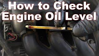 How to Check Your Oil Level & Read Your Dipstick