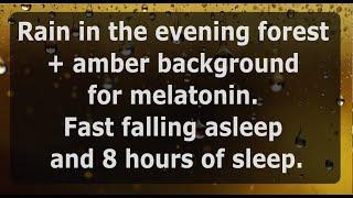 Rain in the evening forest +amber background for melatonin. Fast falling asleep and 8 hours of sleep