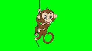 Monkey Greenscreen/Copyright free Greenscreen Monkey