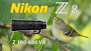 Nikon Z8 Migratory Bird Photography 180-600mm Lens!