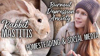 I have been struggling. | Bobcat (the rabbit) got mastitis. Dealing with seasonal depression.