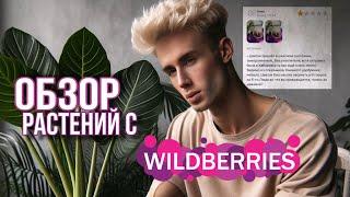 РЕДКИЕ РАСТЕНИЯ С WILDBERRIES /⭐️ РАСПАКОВКА НОВИНОК И РОЗЫГРЫШ МОЕЙ АЛЬБЫ !🪴