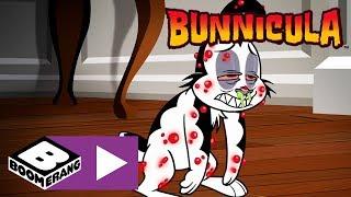 Bunnicula | Bunnicula's Allergic Reaction | Boomerang UK 