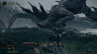 Noob me fighting a dragon in Elden Ring at level 22