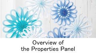 Overview of the Properties Panel