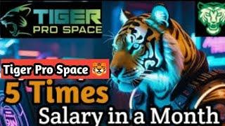 Tiger pro space 100% decentralized blockchain