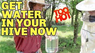 Beekeeping: TIPS On Giving Your Bees Water In Hot Weather