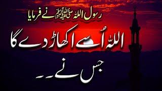 Allah uproots it | Hadees e nabvi |  اللہ  اسے اکھاڑ دیتا ہے ۔“