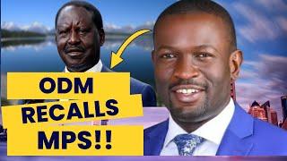 Exposed: Shocking Dark Secrets Behind Raila Odinga's ODM Party Recall of 7 Members! 