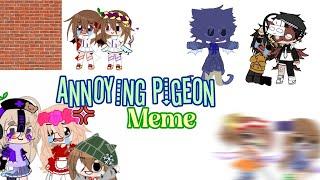 Annoying Pigeon Meme // 1 year anniversary SPECIAL !! {Ft. @NotCrystal__ & Others in desc.}