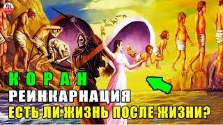 РЕИНКАРНАЦИЯ И КОРАН! ЕСТЬ ЛИ ЖИЗНЬ ПОСЛЕ... АЛЛАХ ПРЕДУПРЕДИЛ НАС ОБ ЭТОМ!