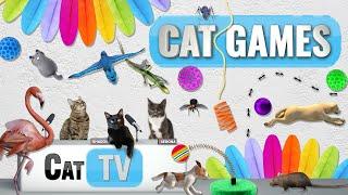 CAT Games | Ultimate Cat TV Compilation Vol 43 | 2 HOURS 